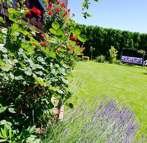 Rozsahaz バラトンフレド